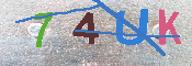 CAPTCHA Image